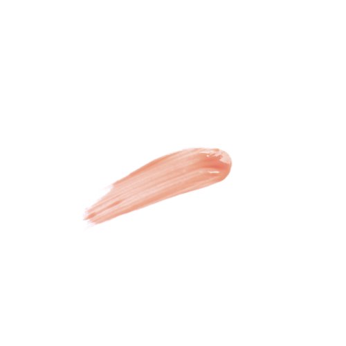 SISLEY-PHYTO-LIP DELIGHT SISLEY-PHYTO-LIP DELIGHT